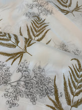 Fern